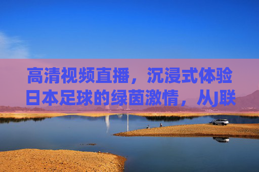 高清视频直播，沉浸式体验日本足球的绿茵激情，从J联赛强队到国家队，每一场比赛都值得追看