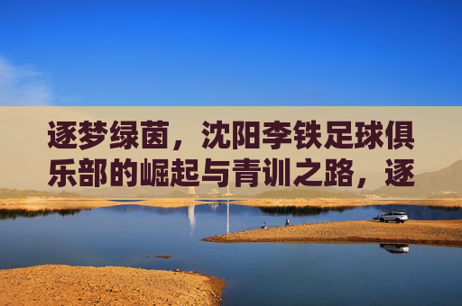 逐梦绿茵,沈阳李铁足球俱乐部的崛起与青训之路,逐梦绿茵,沈阳李铁足球俱乐部的崛起与青训之路