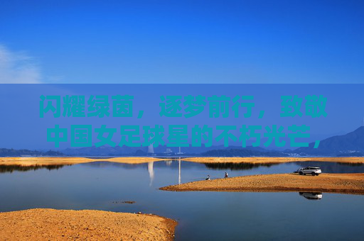 闪耀绿茵，逐梦前行，致敬中国女足球星的不朽光芒，闪耀绿茵，逐梦前行，致敬中国女足球星的不朽光芒