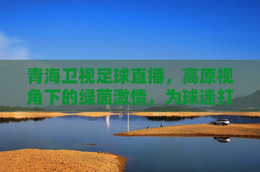 青海卫视足球直播，高原视角下的绿茵激情，为球迷打造沉浸式观赛盛宴