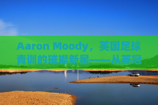 Aaron Moody,英国足球青训的璀璨新星——从英冠赛场到英超的竞技突破,Aaron Moody,英国足球青训的璀璨新星——从英冠赛场到英超的竞技突破