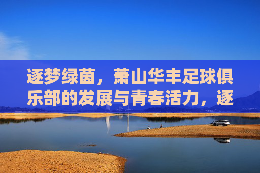 逐梦绿茵，萧山华丰足球俱乐部的发展与青春活力，逐梦绿茵，萧山华丰足球俱乐部的发展与青春活力
