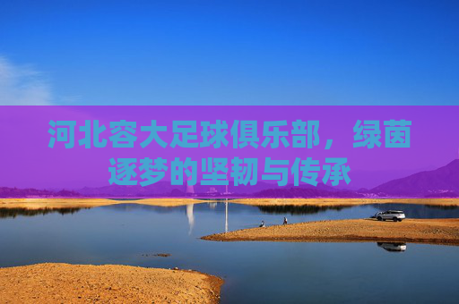 河北容大足球俱乐部，绿茵逐梦的坚韧与传承
