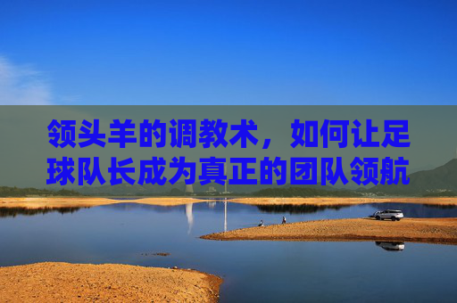 领头羊的调教术，如何让足球队长成为真正的团队领航员，领头羊的调教术，如何让足球队长成为真正的团队领航员
