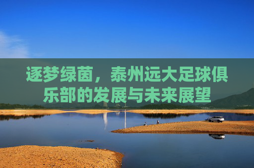逐梦绿茵,泰州远大足球俱乐部的发展与未来展望