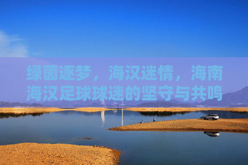 绿茵逐梦，海汉迷情，海南海汉足球球迷的坚守与共鸣，绿茵逐梦，海汉迷情，海南海汉足球球迷的坚守与共鸣