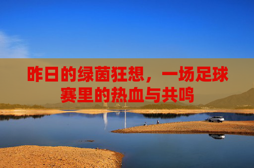 昨日的绿茵狂想，一场足球赛里的热血与共鸣