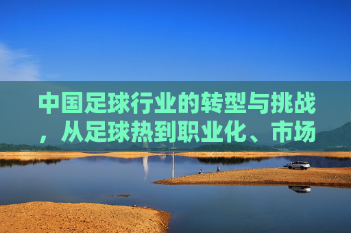 中国足球行业的转型与挑战,从足球热到职业化、市场化的深度探索,中国足球行业转型与挑战,从足球热到职业化、市场化的深度探索