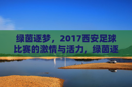 绿茵逐梦,2017西安足球比赛的激情与活力,绿茵逐梦,2017西安足球比赛的激情与活力