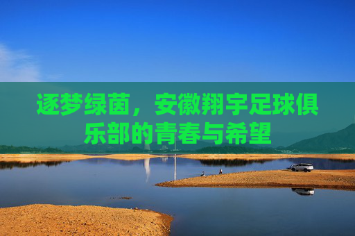 逐梦绿茵,安徽翔宇足球俱乐部的青春与希望