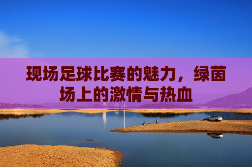 现场足球比赛的魅力，绿茵场上的激情与热血