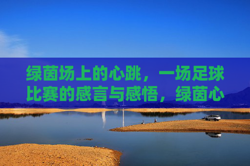 绿茵场上的心跳,一场足球比赛的感言与感悟,绿茵心跳,一场足球比赛的感言与感悟