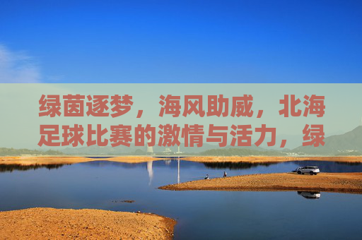 绿茵逐梦，海风助威，北海足球比赛的激情与活力，绿茵逐梦，海风助威，北海足球比赛的激情与活力