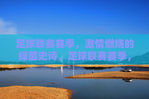 足球联赛赛季,激情燃烧的绿茵史诗,足球联赛赛季,激情燃烧的绿茵史诗