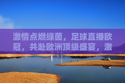 激情点燃绿茵，足球直播欧冠，共赴欧洲顶级盛宴，激情点燃绿茵，足球直播欧冠，共赴欧洲顶级盛宴