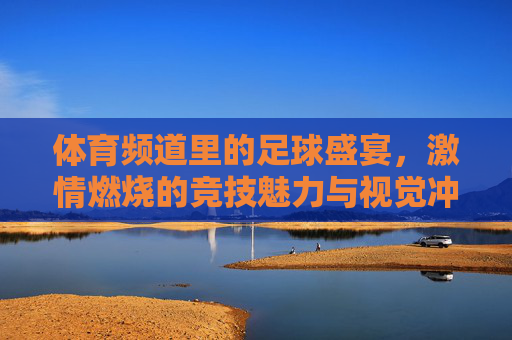 体育频道里的足球盛宴，激情燃烧的竞技魅力与视觉冲击