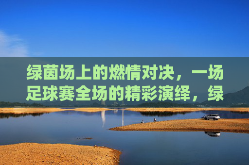 绿茵场上的燃情对决，一场足球赛全场的精彩演绎，绿茵燃情对决，足球赛全场精彩演绎