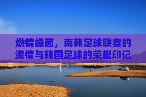 燃情绿茵，南韩足球联赛的激情与韩国足球的荣耀印记，燃情绿茵，南韩足球联赛的激情与韩国足球的荣耀印记