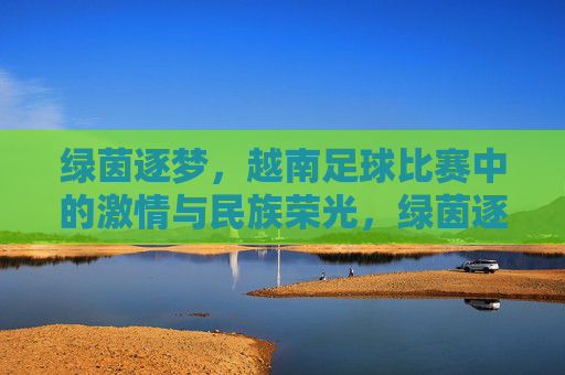 绿茵逐梦，越南足球比赛中的激情与民族荣光，绿茵逐梦，越南足球比赛中的激情与民族荣光
