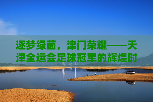 逐梦绿茵,津门荣耀——天津全运会足球冠军的辉煌时刻与时代传承