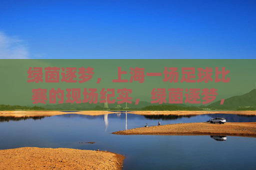 绿茵逐梦，上海一场足球比赛的现场纪实，绿茵逐梦，上海一场足球比赛的现场纪实