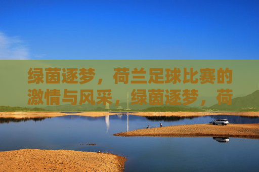 绿茵逐梦,荷兰足球比赛的激情与风采,绿茵逐梦,荷兰足球比赛的激情与风采
