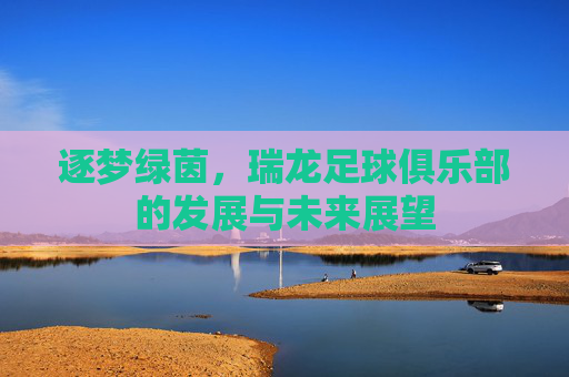 逐梦绿茵，瑞龙足球俱乐部的发展与未来展望