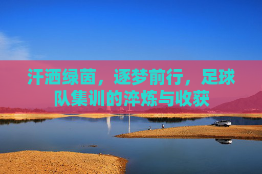 汗洒绿茵,逐梦前行,足球队集训的淬炼与收获