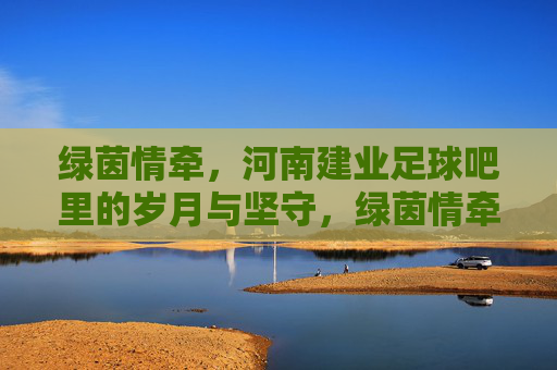 绿茵情牵，河南建业足球吧里的岁月与坚守，绿茵情牵，河南建业足球吧里的岁月与坚守