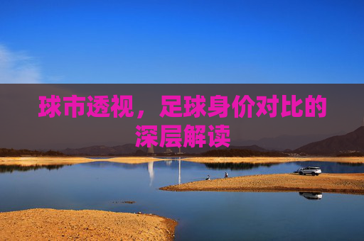 球市透视，足球身价对比的深层解读