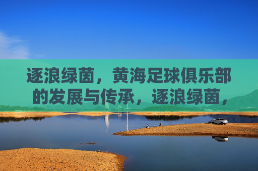 逐浪绿茵，黄海足球俱乐部的发展与传承，逐浪绿茵，黄海足球俱乐部的发展与传承