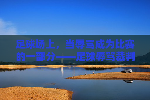 足球场上，当辱骂成为比赛的一部分——足球辱骂裁判现象的拷问与反思