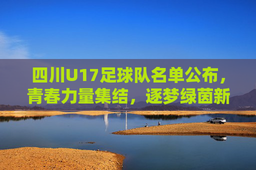 四川U17足球队名单公布，青春力量集结，逐梦绿茵新征程