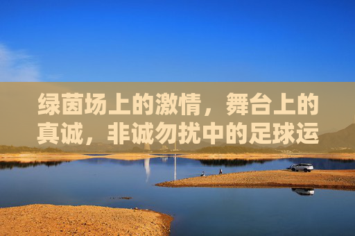 绿茵场上的激情，舞台上的真诚，非诚勿扰中的足球运动员，绿茵场上的激情与舞台上的真诚，非诚勿扰中的足球运动员