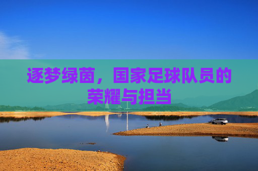 逐梦绿茵,国家足球队员的荣耀与担当