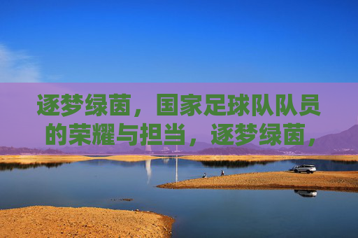 逐梦绿茵，国家足球队队员的荣耀与担当，逐梦绿茵，国家足球队队员的荣耀与担当
