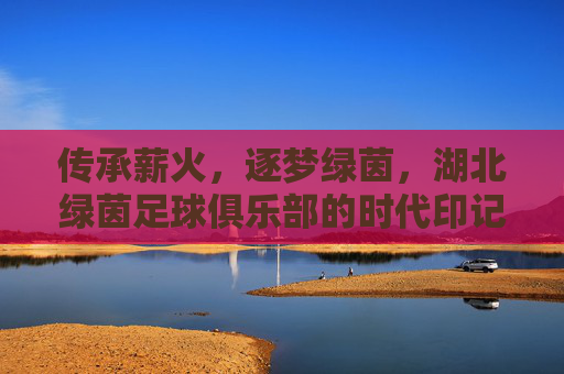 传承薪火，逐梦绿茵，湖北绿茵足球俱乐部的时代印记与未来展望，传承薪火，逐梦绿茵，湖北绿茵足球俱乐部的时代印记与未来展望
