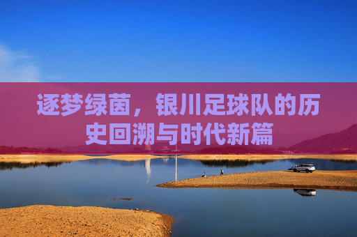 逐梦绿茵，银川足球队的历史回溯与时代新篇