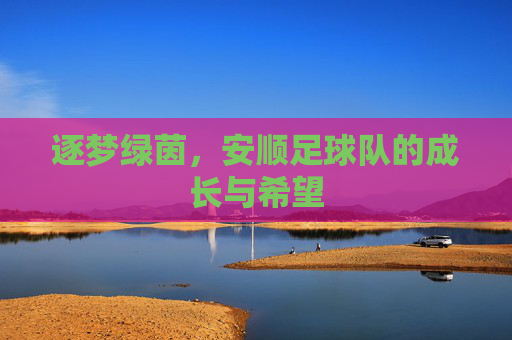 逐梦绿茵，安顺足球队的成长与希望