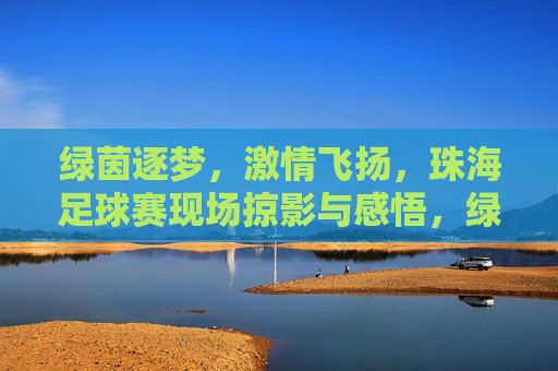 绿茵逐梦,激情飞扬,珠海足球赛现场掠影与感悟,绿茵逐梦,激情飞扬,珠海足球赛现场掠影与感悟