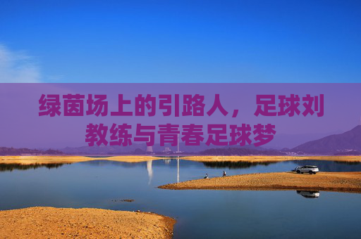 绿茵场上的引路人，足球刘教练与青春足球梦