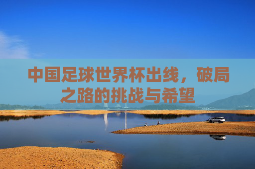 中国足球世界杯出线,破局之路的挑战与希望