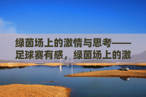 绿茵场上的激情与思考——足球赛有感,绿茵场上的激情与思考——足球赛有感