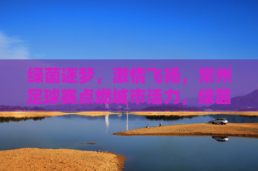 绿茵逐梦,激情飞扬,常州足球赛点燃城市活力,绿茵逐梦,激情飞扬,常州足球赛点燃城市活力