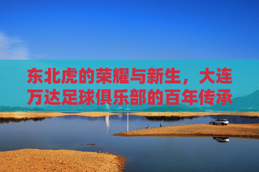 东北虎的荣耀与新生，大连万达足球俱乐部的百年传承与时代征程