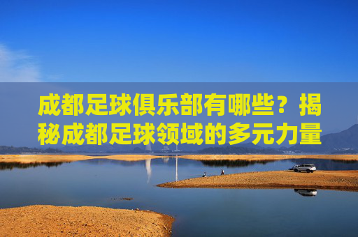 成都足球俱乐部有哪些?揭秘成都足球领域的多元力量,成都足球俱乐部有哪些?揭秘足球领域的多元力量