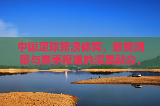 中国足球新浪体育，数据洞察与赛事报道的深度融合，助力中国足球职业化与球迷文化发展，中国足球新浪体育，数据洞察与赛事报道深度融合，助力职业化与球迷文化发展