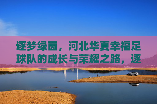 逐梦绿茵,河北华夏幸福足球队的成长与荣耀之路,逐梦绿茵,河北华夏幸福足球队的成长与荣耀之路