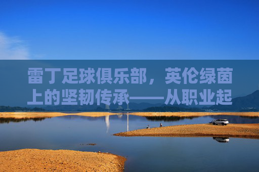 雷丁足球俱乐部,英伦绿茵上的坚韧传承——从职业起步到英超挑战的百年征程,雷丁足球俱乐部,英伦绿茵上的坚韧传承——从职业起步到英超挑战的百年征程