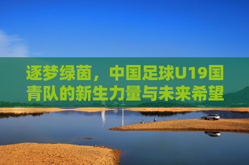 逐梦绿茵,中国足球U19国青队的新生力量与未来希望